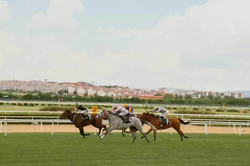 Your Year at the Window: Mapping the American Sports Calendar for Maximum Betting Value